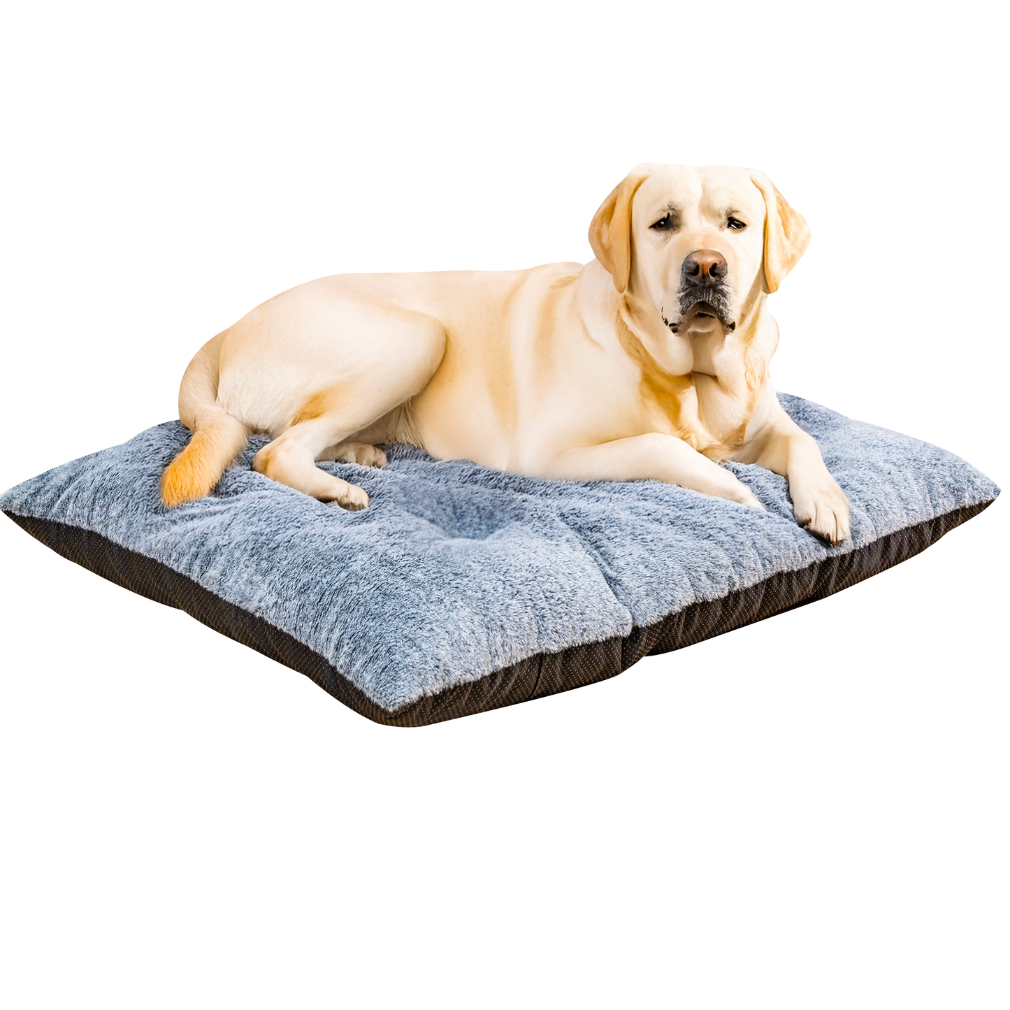 Baxluxe Deluxe Dog Ded for Large and Medium Dog, Soft Faux Fur Fabic Dog Crate Mat with High Density Foam, Dog Mattress with Anti-Slip Bottom, Grey